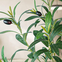 Belyra Faux Olive Tree image 4