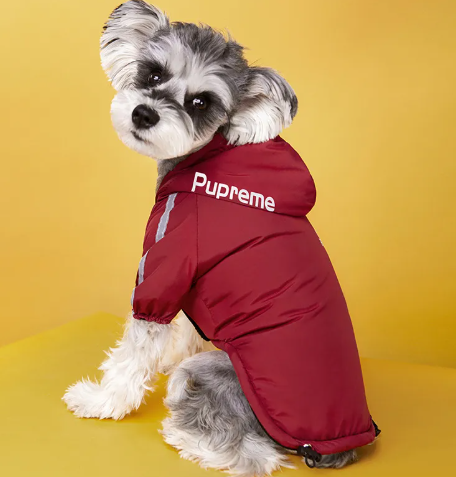 Winter Dog Jacket with Plus Velvet Lining image