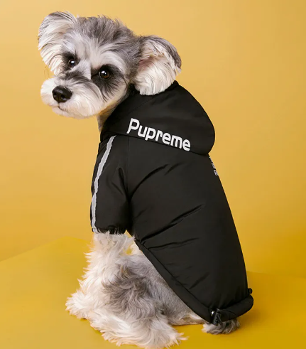 Winter Dog Jacket with Plus Velvet Lining image