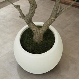 Belyra Faux Olive Tree image 5