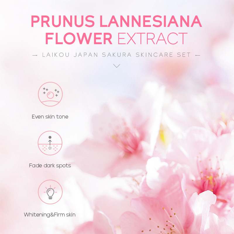 Moisturizing Face Cream Skin Care Kit image
